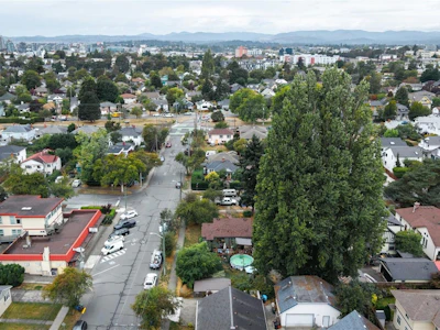 2547 Empire Street - 4