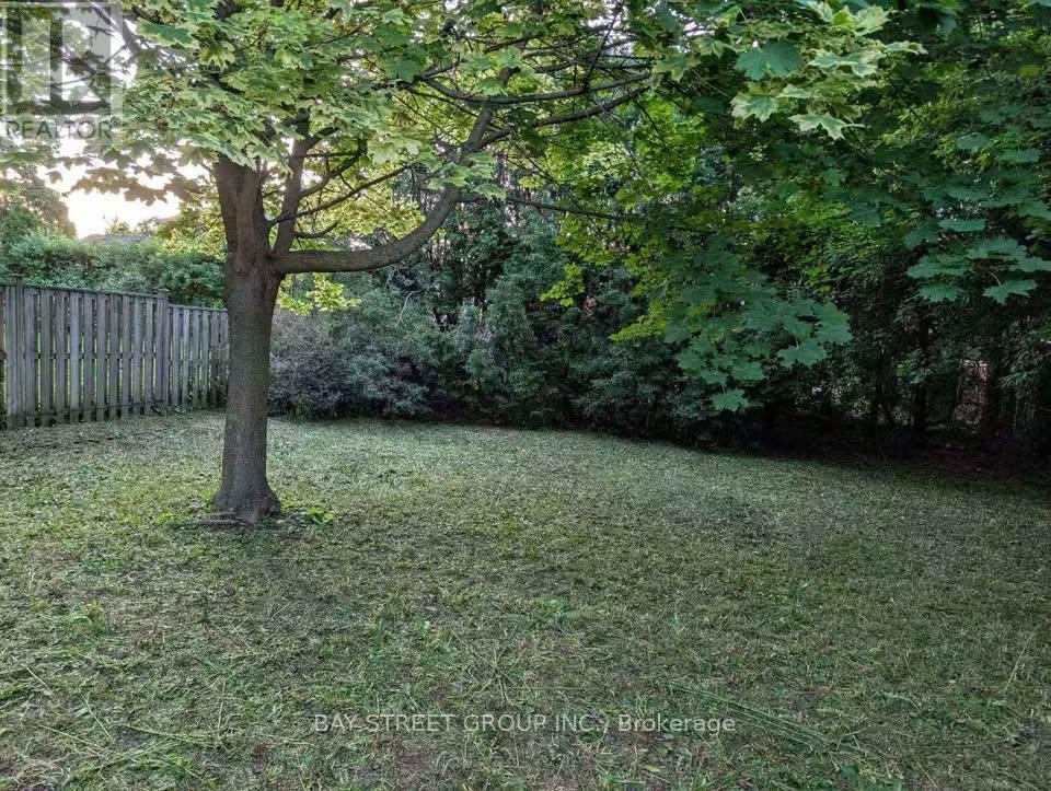 182 Phyllis Avenue, Toronto, ON, M1M 1Y8 - 14
