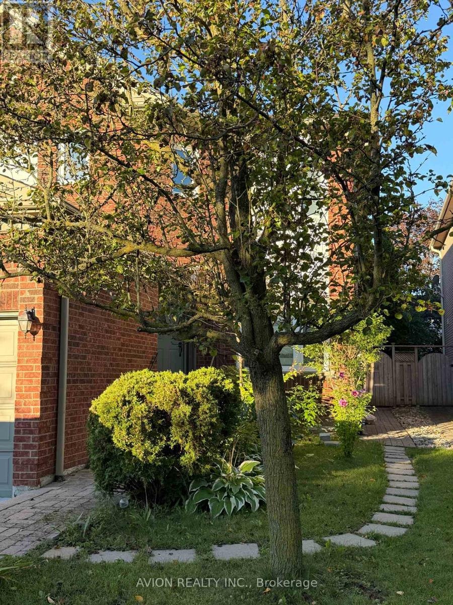 BASEMENT-79 Sweet Water Crescent, Richmond Hill, ON, L4S 2B2 - 2