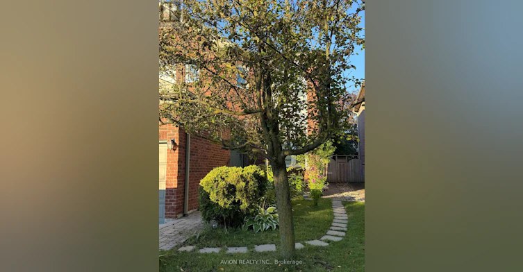 BASEMENT-79 Sweet Water Crescent, Richmond Hill, ON, L4S 2B2 - 2