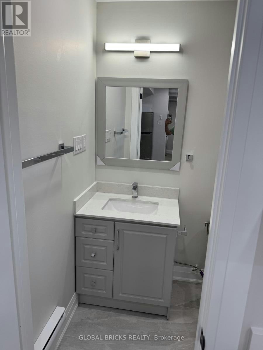 3- LOWER-101 Minerva Avenue, Toronto, ON, M1M 1V8 - 21