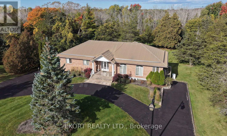 53 O'neill Drive