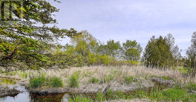 585 Holgate Circle, Newmarket, ON, L3X 1V8 - 46