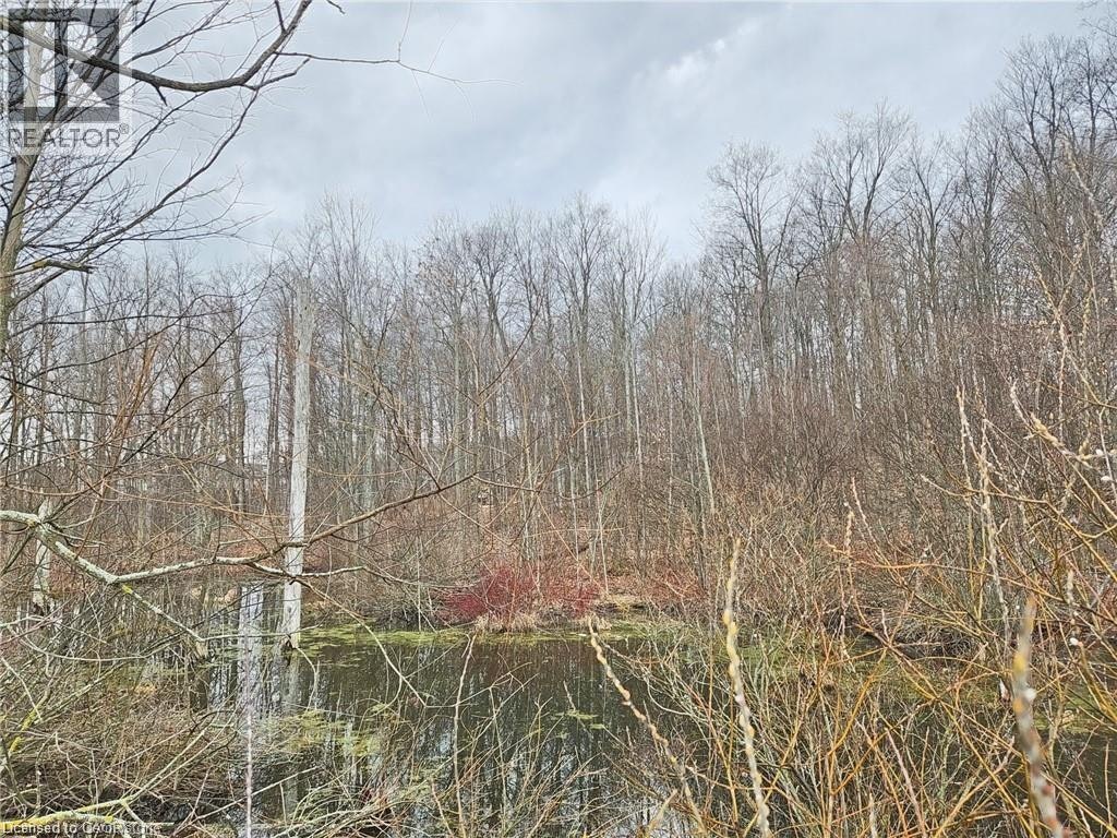 105 Activa Avenue, Kitchener, ON, N2E 2T3 - 44