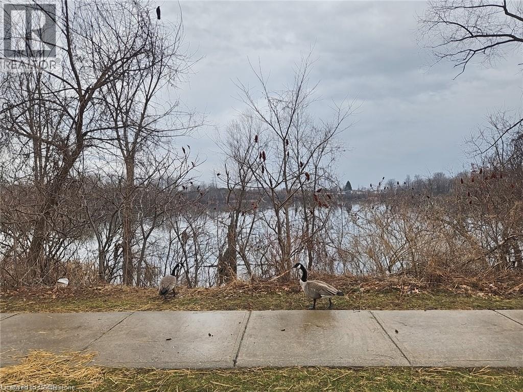 105 Activa Avenue, Kitchener, ON, N2E 2T3 - 46