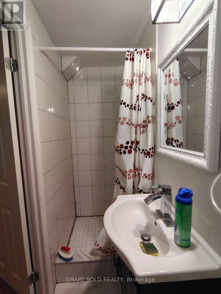 LOWER-66 Bellevue Avenue, Toronto, ON, M5T 2N4 - 6