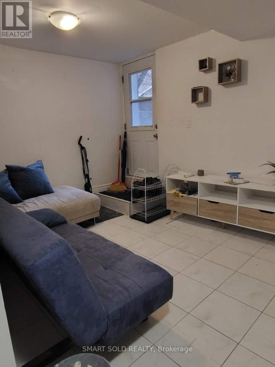 LOWER-66 Bellevue Avenue, Toronto, ON, M5T 2N4 - 2