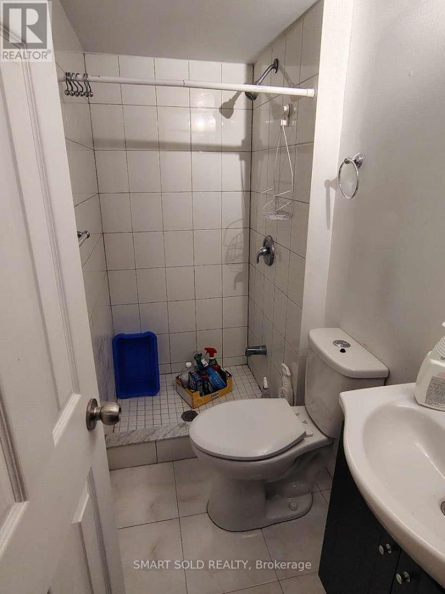 LOWER-66 Bellevue Avenue, Toronto, ON, M5T 2N4 - 4