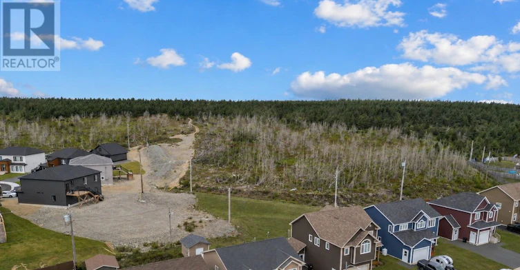 43 Orlando Place, St Johns, NL, A1B 0J7 - 31
