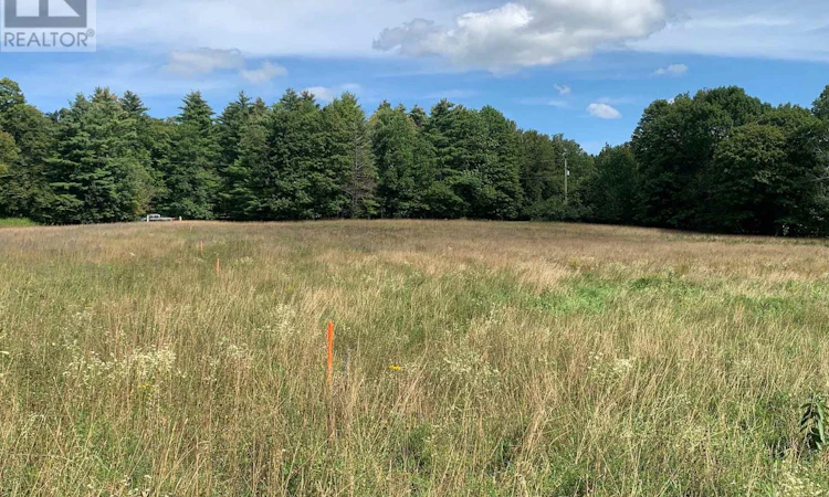 485 5th Concession S