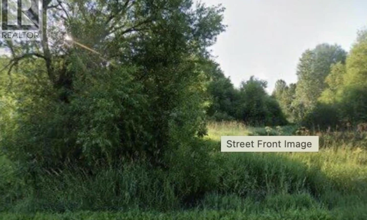 Lot-D Willow Street