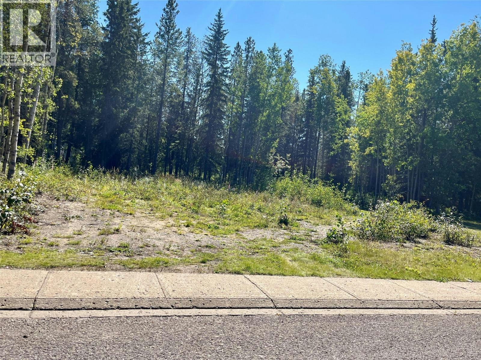 115 Red Willow Avenue, Tumbler Ridge, BC, V0C 2W0
