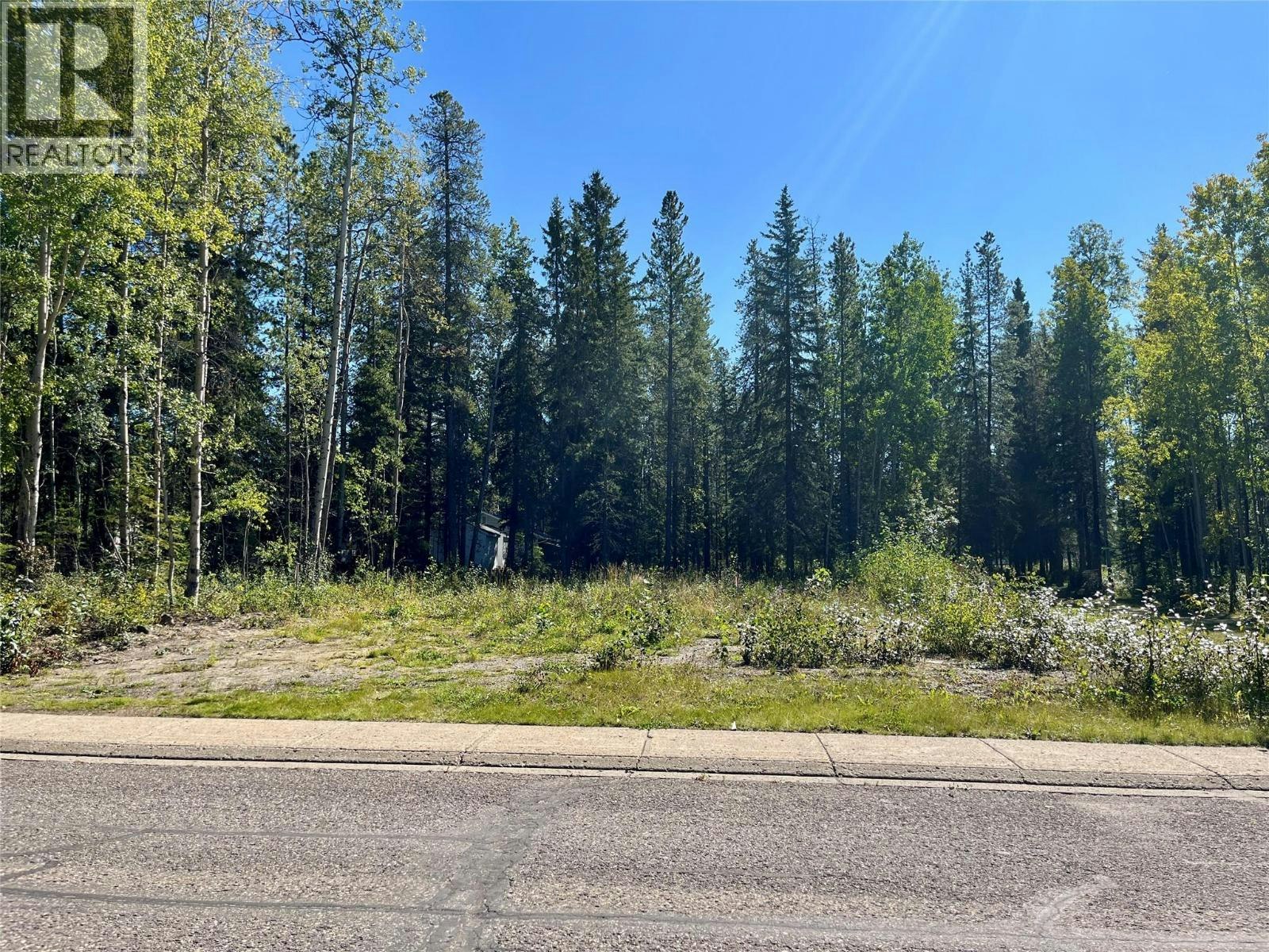 115 Red Willow Avenue, Tumbler Ridge, BC, V0C 2W0