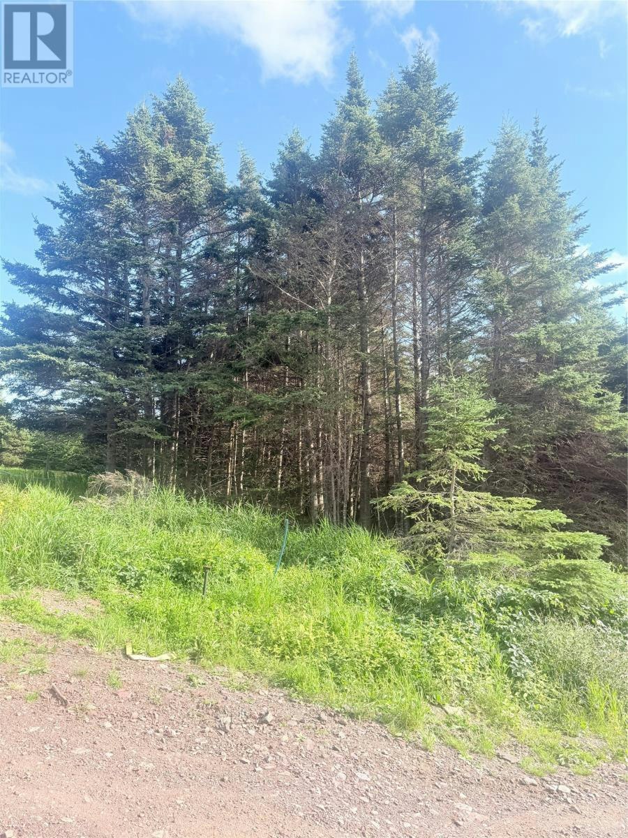 6A Big Pond Access Road, Burin, NL, A0E 1E0