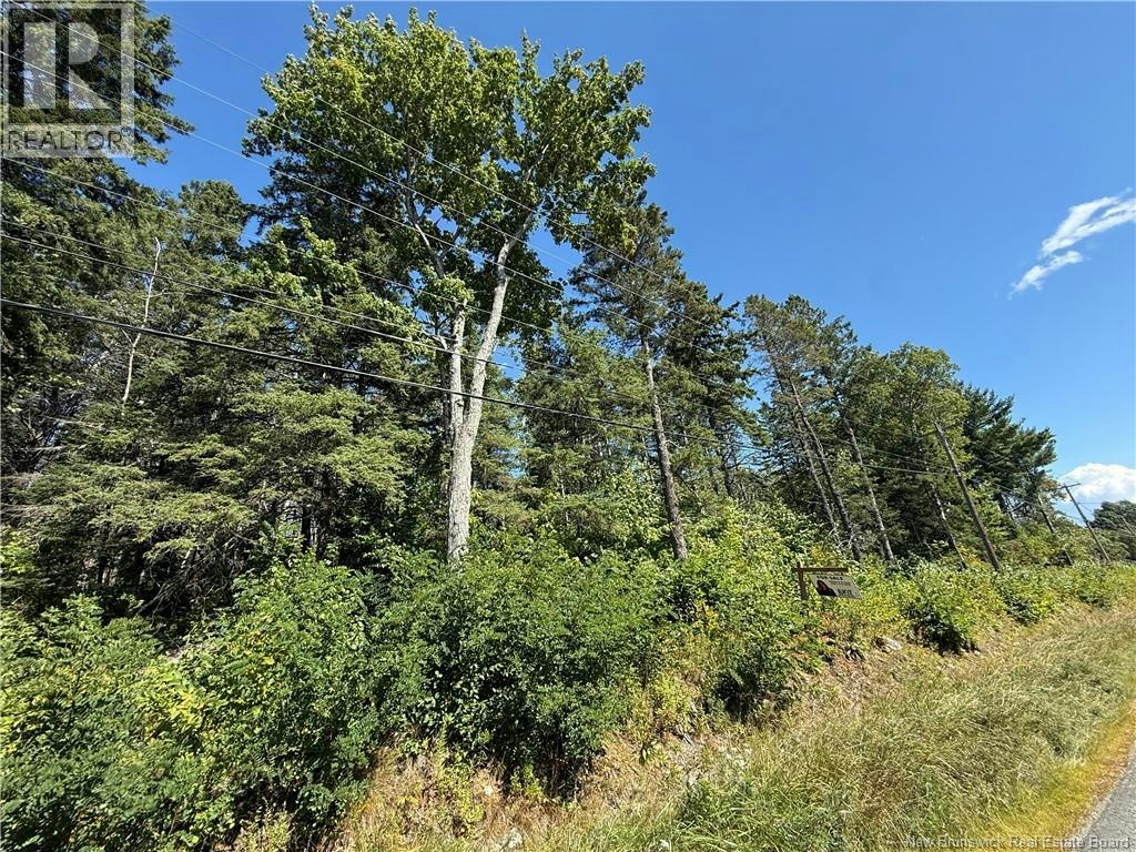 Lot 26-01 105 Route, Nackawic, NB, E6G 1X1