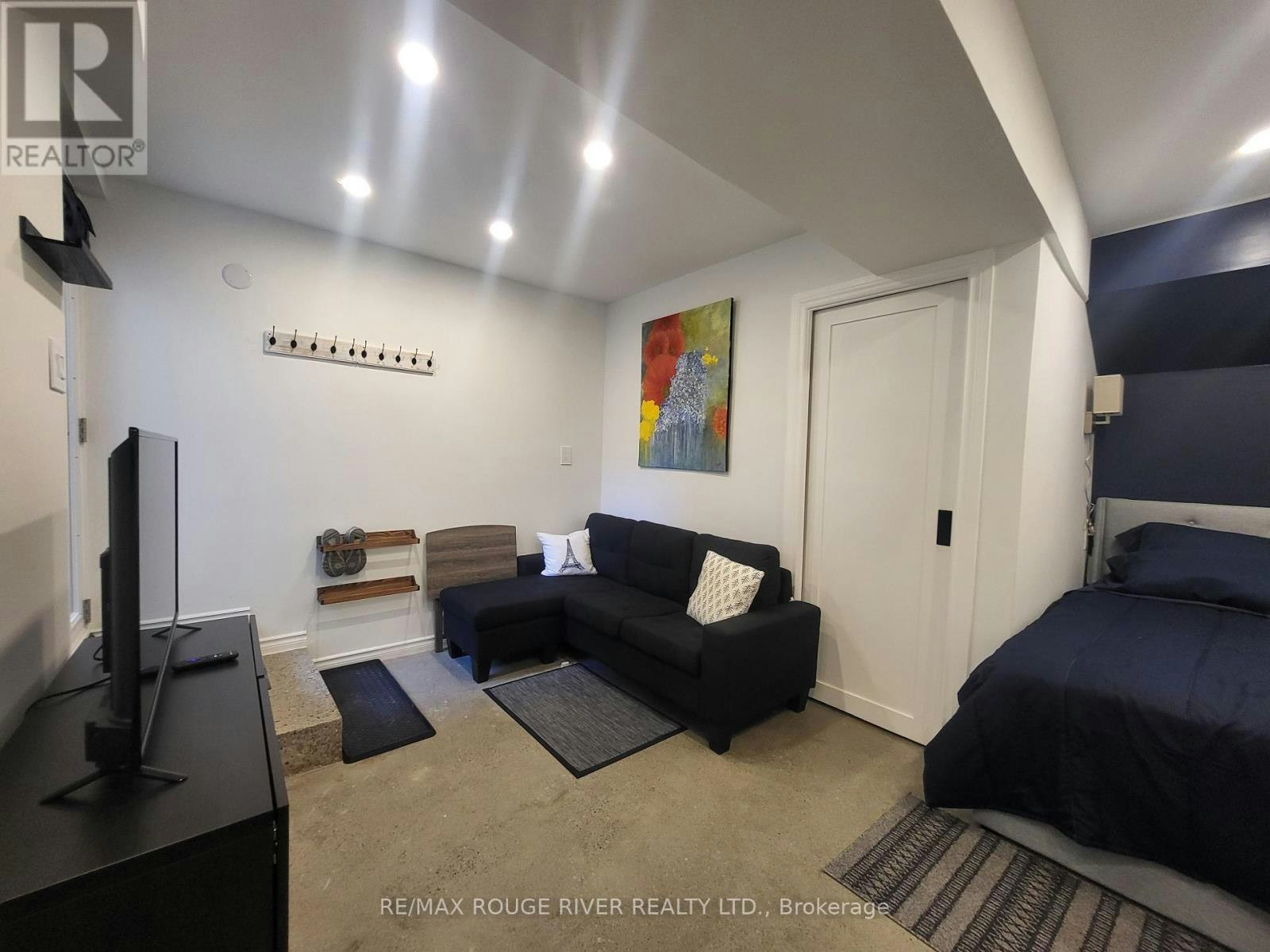 LOWER-6 Lippincott Street, Toronto, ON, M5T 2R5 - 3