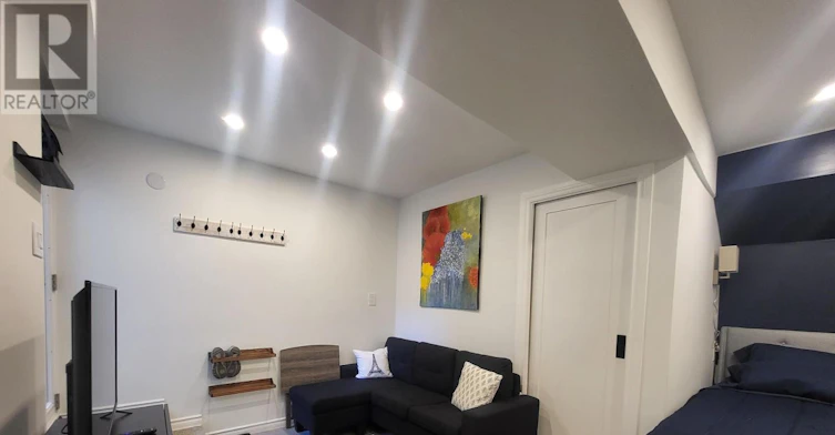 LOWER-6 Lippincott Street, Toronto, ON, M5T 2R5 - 3