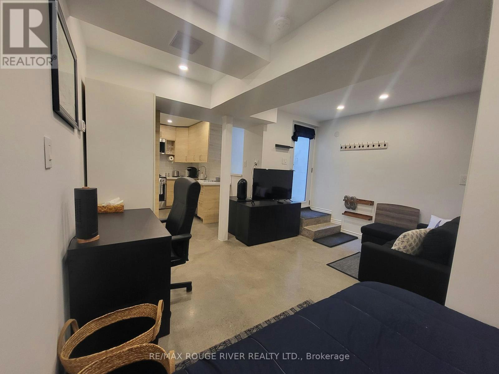 LOWER-6 Lippincott Street, Toronto, ON, M5T 2R5 - 6
