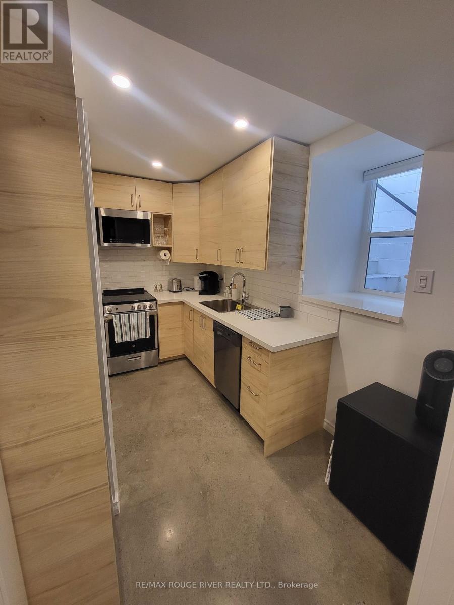 LOWER-6 Lippincott Street, Toronto, ON, M5T 2R5 - 13