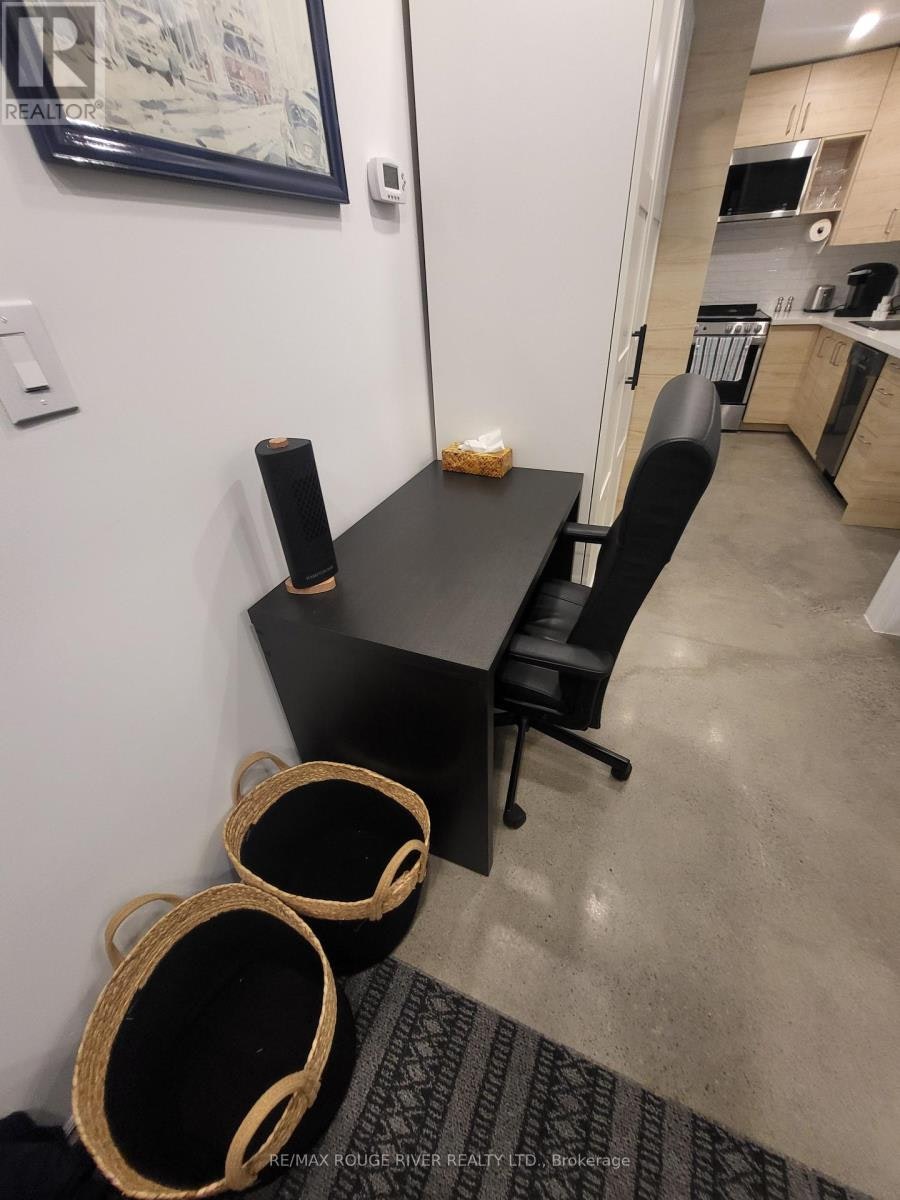 LOWER-6 Lippincott Street, Toronto, ON, M5T 2R5 - 11