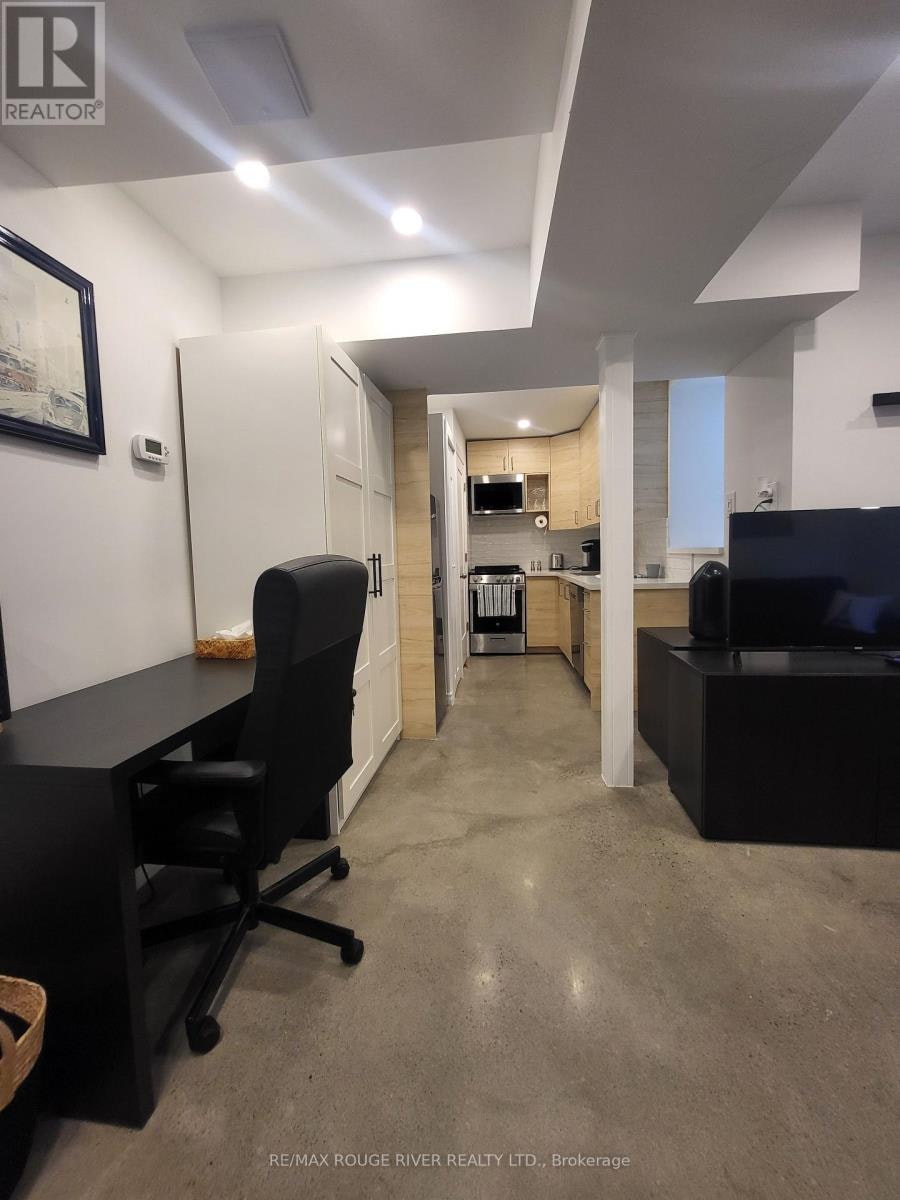LOWER-6 Lippincott Street, Toronto, ON, M5T 2R5 - 12