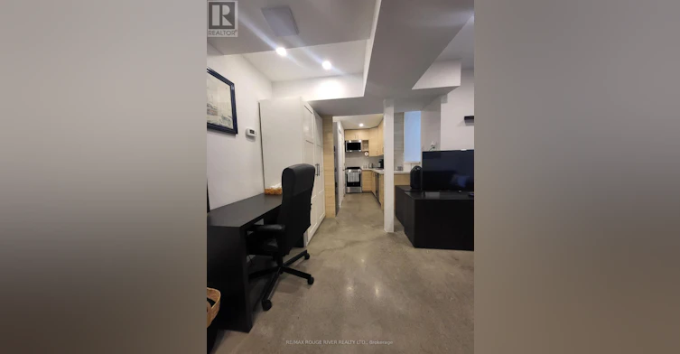 LOWER-6 Lippincott Street, Toronto, ON, M5T 2R5 - 12