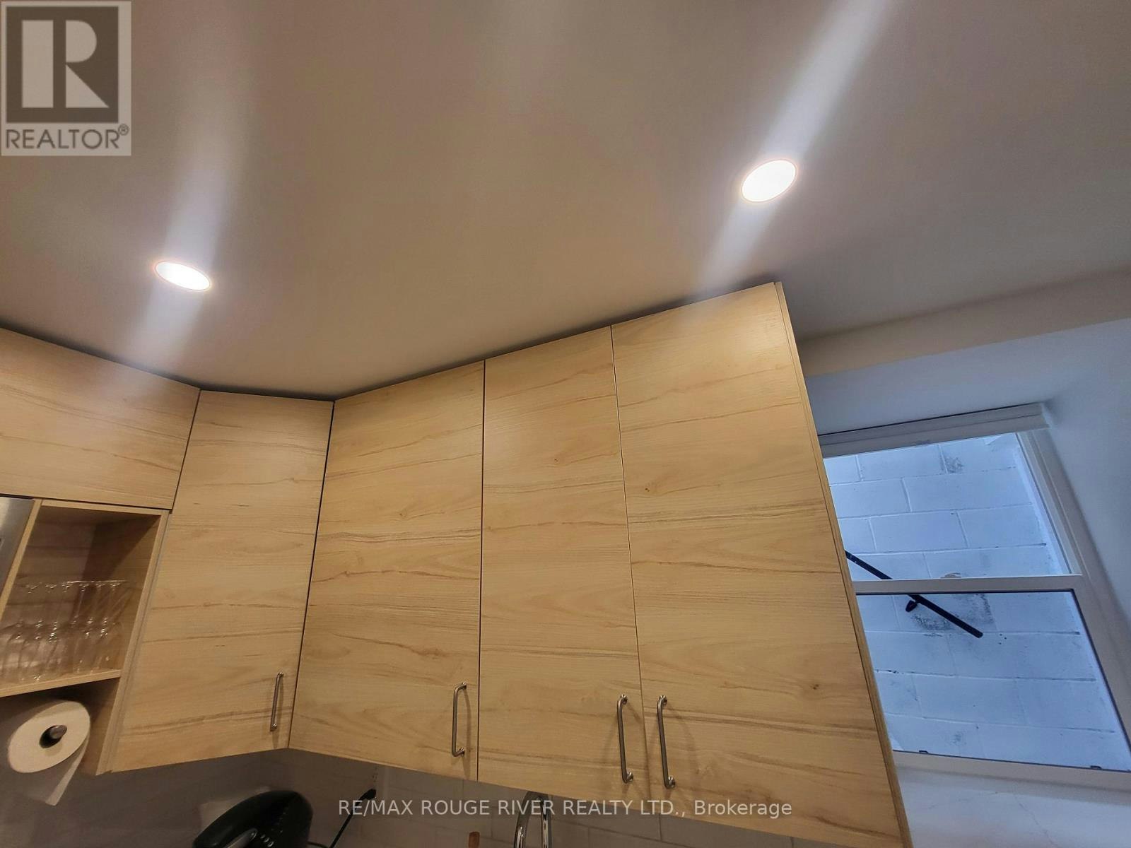 LOWER-6 Lippincott Street, Toronto, ON, M5T 2R5 - 16