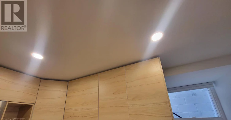 LOWER-6 Lippincott Street, Toronto, ON, M5T 2R5 - 16