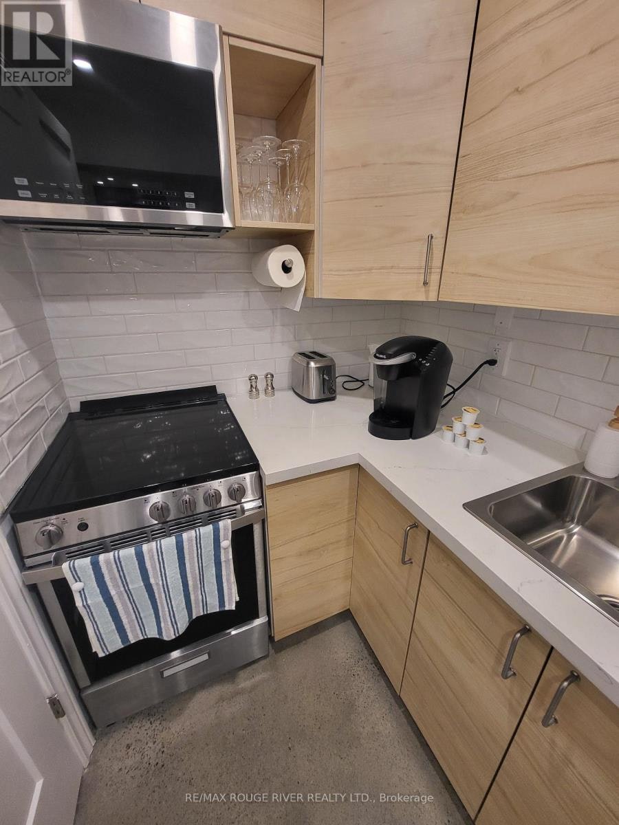 LOWER-6 Lippincott Street, Toronto, ON, M5T 2R5 - 15