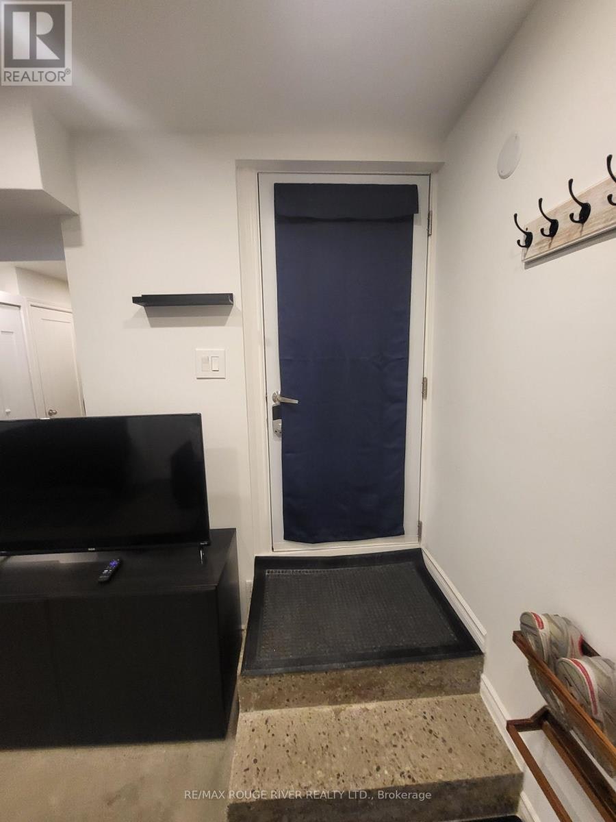 LOWER-6 Lippincott Street, Toronto, ON, M5T 2R5 - 2
