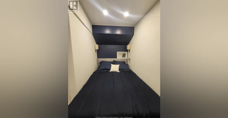 LOWER-6 Lippincott Street, Toronto, ON, M5T 2R5 - 9