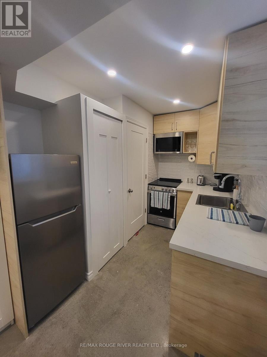 LOWER-6 Lippincott Street, Toronto, ON, M5T 2R5 - 18
