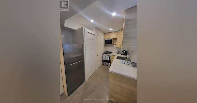 LOWER-6 Lippincott Street, Toronto, ON, M5T 2R5 - 18
