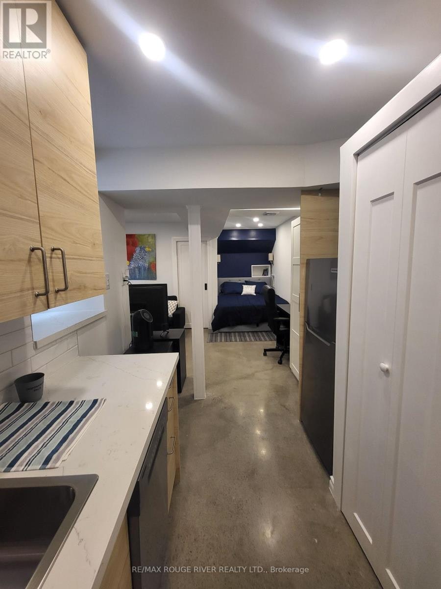 LOWER-6 Lippincott Street, Toronto, ON, M5T 2R5 - 19