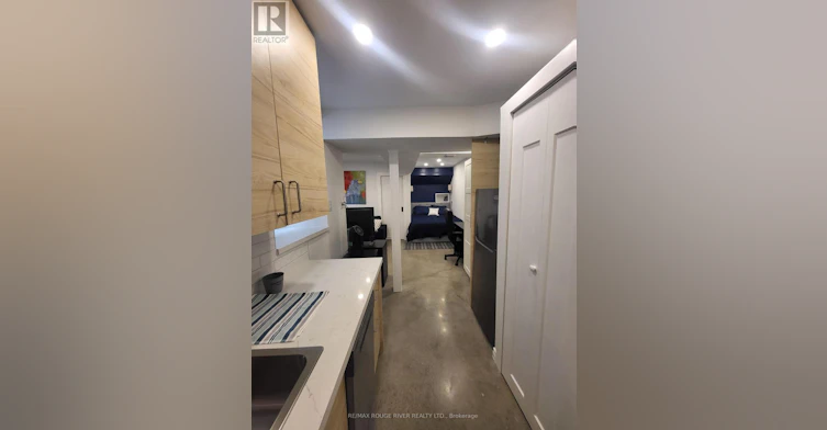 LOWER-6 Lippincott Street, Toronto, ON, M5T 2R5 - 19