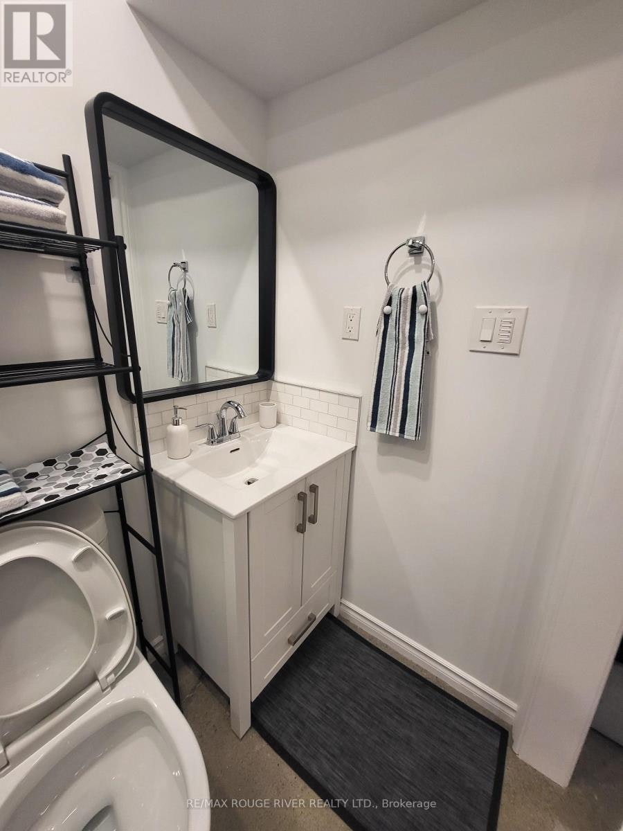 LOWER-6 Lippincott Street, Toronto, ON, M5T 2R5 - 20