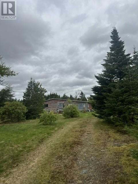 174-A Nine Mile Road, Mount Carmel-Mitchells Brook-St. Catherine's, NL, A0B 1M0