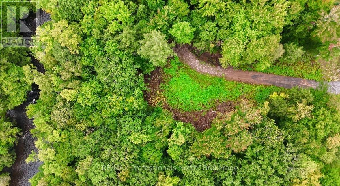1247 Hawk Valley Road, Algonquin Highlands, ON, K0M 1J2