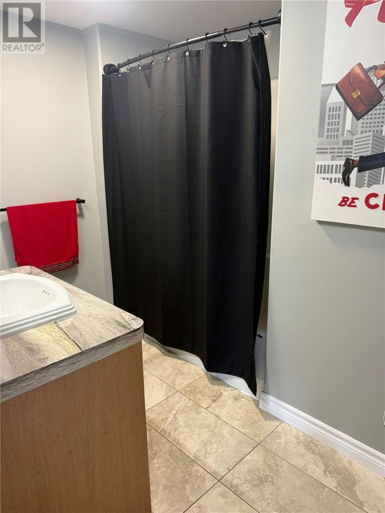 244 Copper Street, Greater Sudbury, ON, P3E 2C2 - 9
