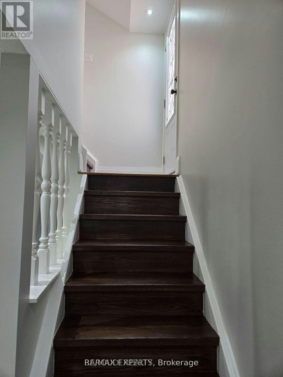 LOWER-19 Rory Road, Toronto, ON, M6L 3E9 - 7