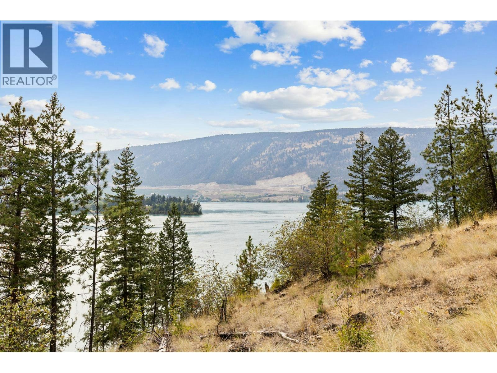 15799 Sawmill Road, Lake Country, BC, V4V 2E2 - 78