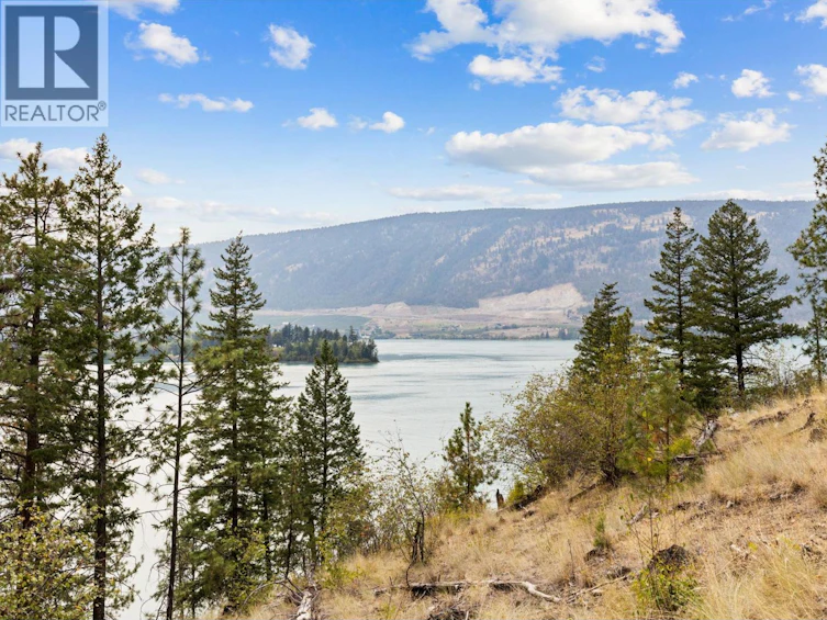 15799 Sawmill Road, Lake Country, BC, V4V 2E2 - 78