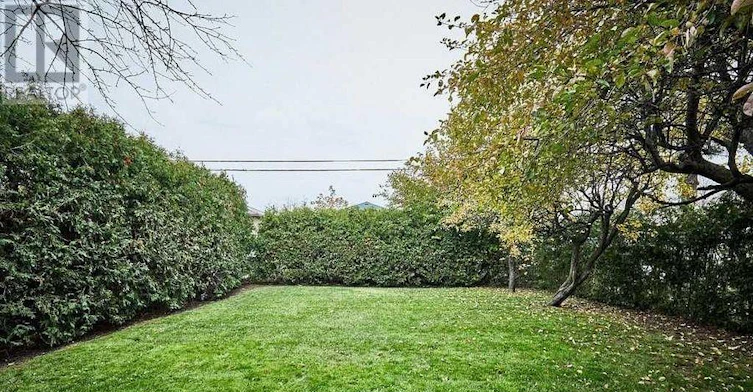 LOWER Level 6 Glaive Drive, Toronto, ON, M1P 1X6 - 11