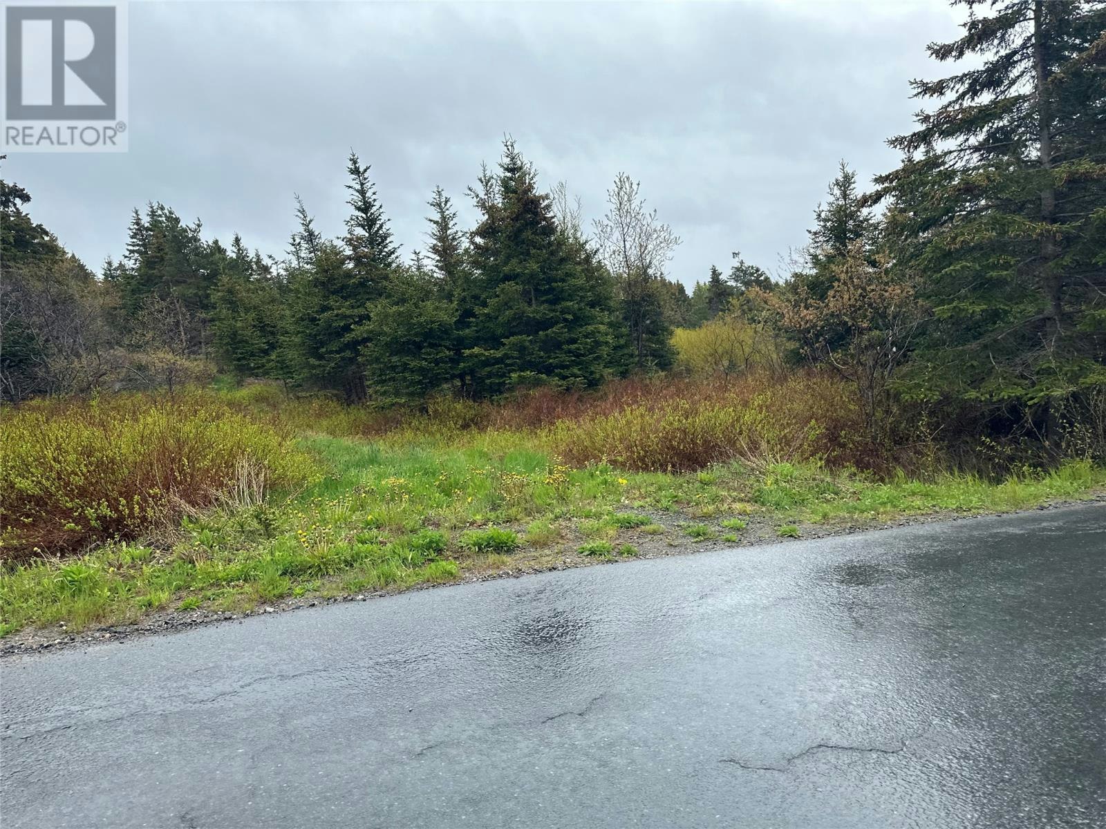 28-34 Conrans Road, Harbour Main - Chapel's Cove - Lakeview, NL