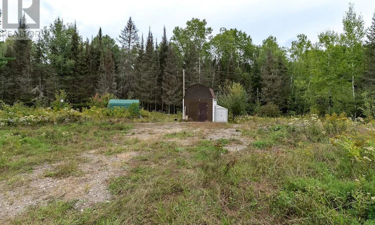 556 Lorne Falls