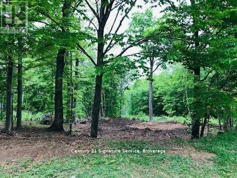1-879 Stephenson Road E, Huntsville, ON, P0B 1L0 - 45