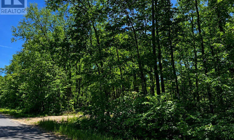 0 Buckshot Lake Road