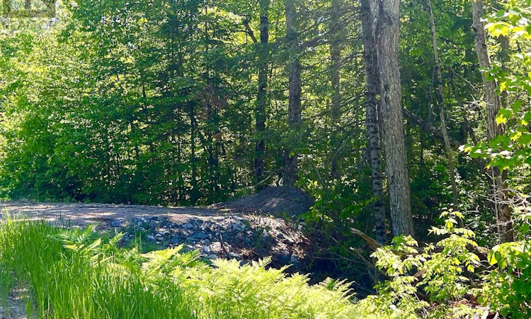 00 Buckshot Lake Road