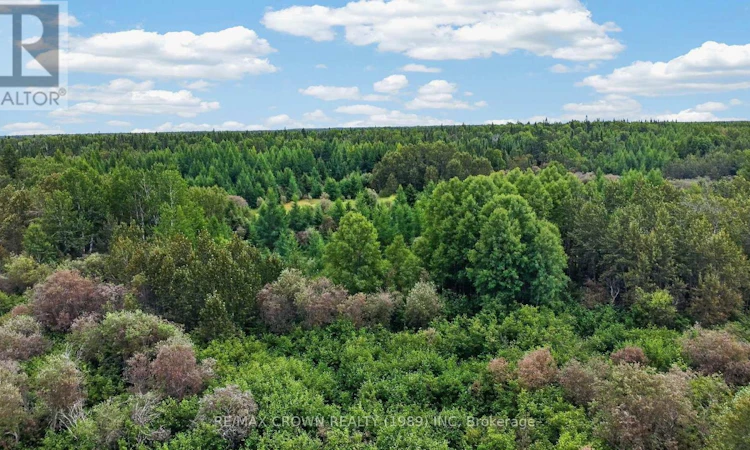 LOT-1 10 Conc Concession