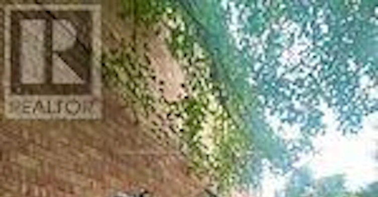 BASEMENT-97 Long Point Drive, Richmond Hill, ON, L4E 3Z7 - 2
